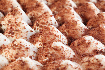 tasty tiramisu cake with chocolate, close
