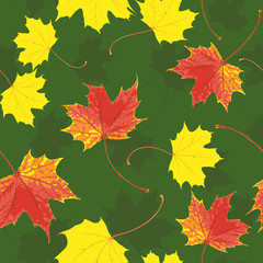 Autumn maple leaves seamless texture