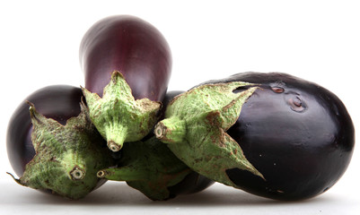 eggplant