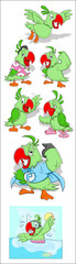 Parrot Illustration Vectors