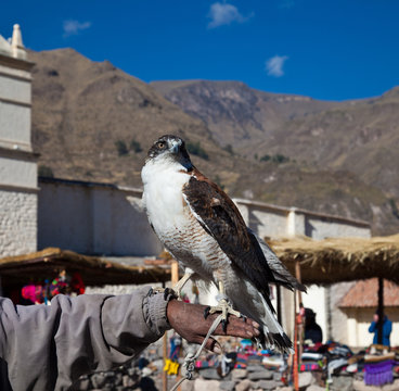 Yanque Village