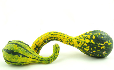 Autumn decorative pumpkins