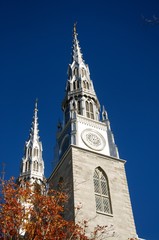 Fototapeta na wymiar Notre Dame Cathedral Basilica Ottawa