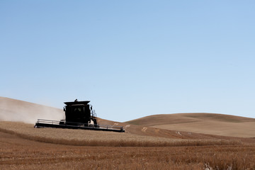 Wheat combine during harvest in Palouse, Washington
