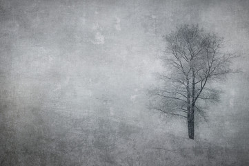 vintage image of a tree over grunge background