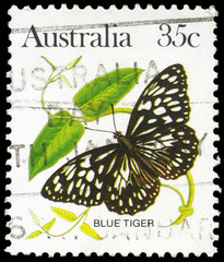 Fototapeta na wymiar AUSTRALIA - CIRCA 1983 Blue Tiger