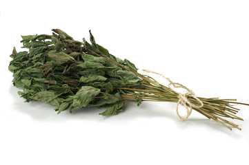 Bunch of lemon balm - drying