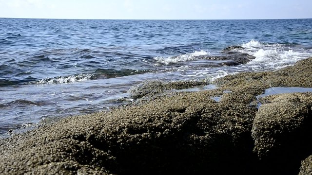 mare scoglio