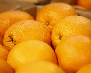 Big and fresh oranges in the supermarket