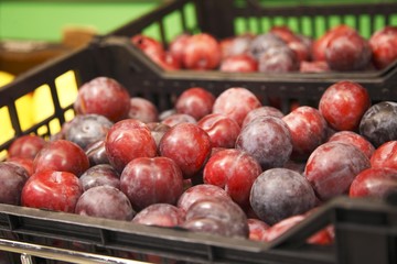 Plum tomatoes in a box of supermarket