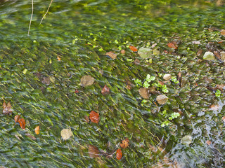 strumień © petroos