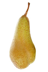 conference pear