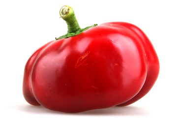 Red  pepper