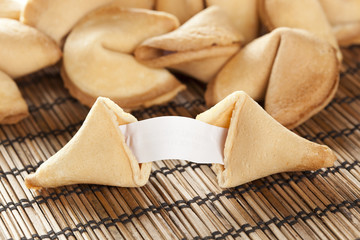 Fresh Made Fortune Cookie