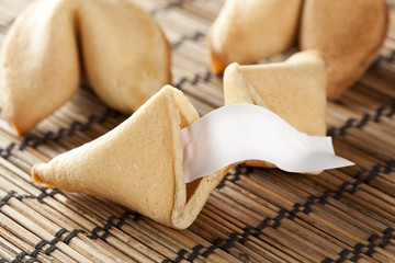 Fresh Made Fortune Cookie