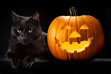 Halloween pumpkin black cat