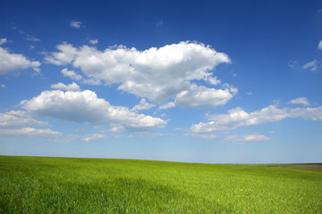 Obraz premium farmlands