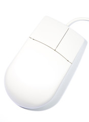 mouse