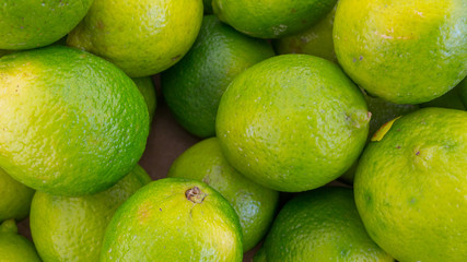 Lime (Citrus × aurantifolia)