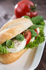Plate with Mozzarella Baguette