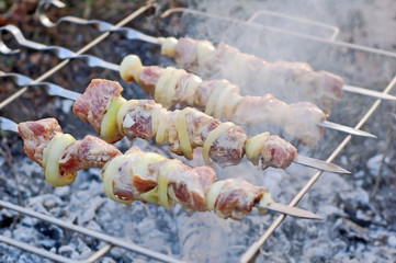 shish kebab on skewers and hot coals
