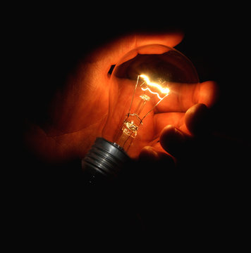 bulb