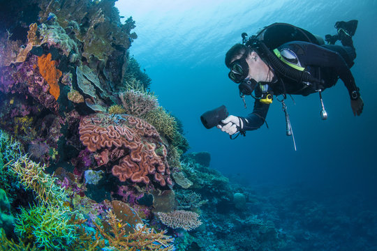 diver with healthy colourful coral