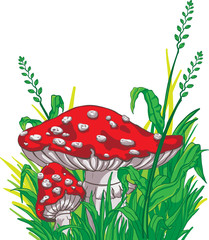 Cartoon style amanita mushrooms and grass