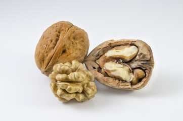Walnut