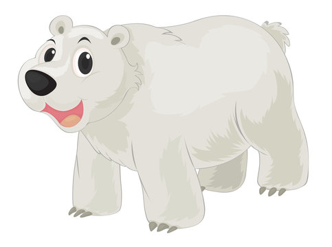 polar bear