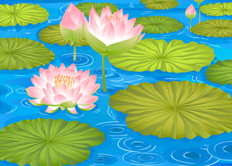 fleurs de lotus dans l& 39 étang