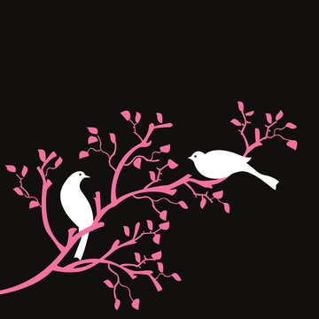 oiseaux sur branche rose fond noir