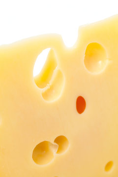 cheese close up