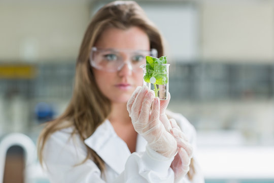 Woman standing at the laboratory holding a glass with plant