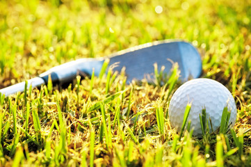 Golf ball in the grass, near a putter.