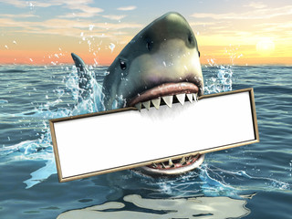 Naklejka premium Reklama rekina
