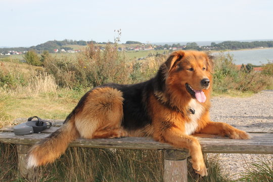 Sam