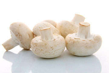 Champignons de Paris frais