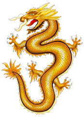 China Drache gold