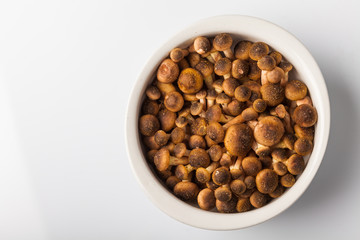 Ciotolina con Funghi Chiodini