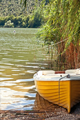 barca nel canneto © Giuseppe Blasioli