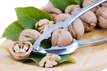 Nutcracker and nuts in the bowl, next to green leaf.