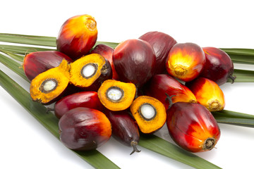 palm oil