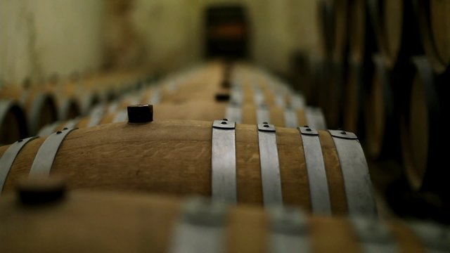 Oak barrels of wine in the cellar