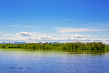 Fototapeta na wymiar Albufera lake in Valencia in a sunny blue day
