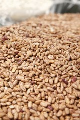 Brown beans in a big grocery