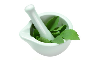 Stevia 6
