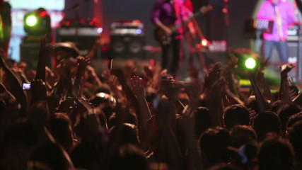 Rear view of happy concert applauding to rock band