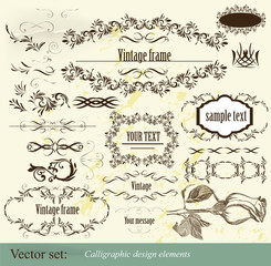 Calligraphic vector design elements