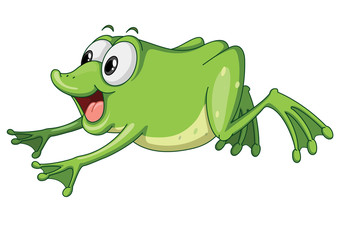 a green frog jumping